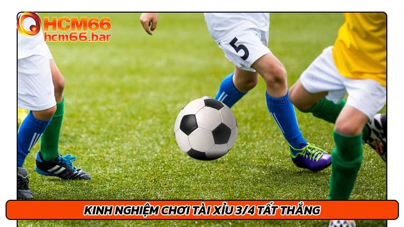 Kinh nghiệm chơi tài xỉu 3/4 tất thắng